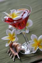 Plumeria Flowers with Cocktail