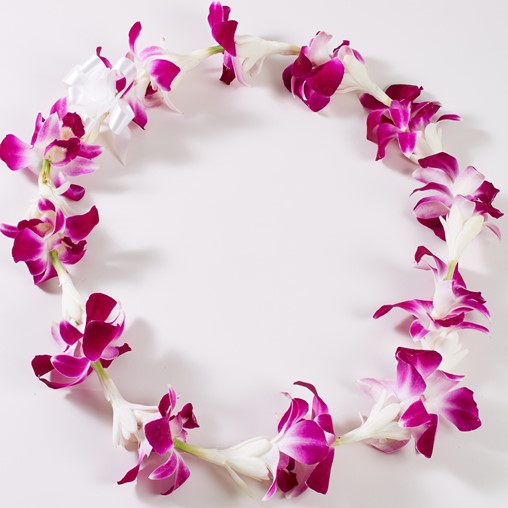 Fresh Dendrobium Orchid and Tuberose Lei - Aloha Hawaiian Flowers